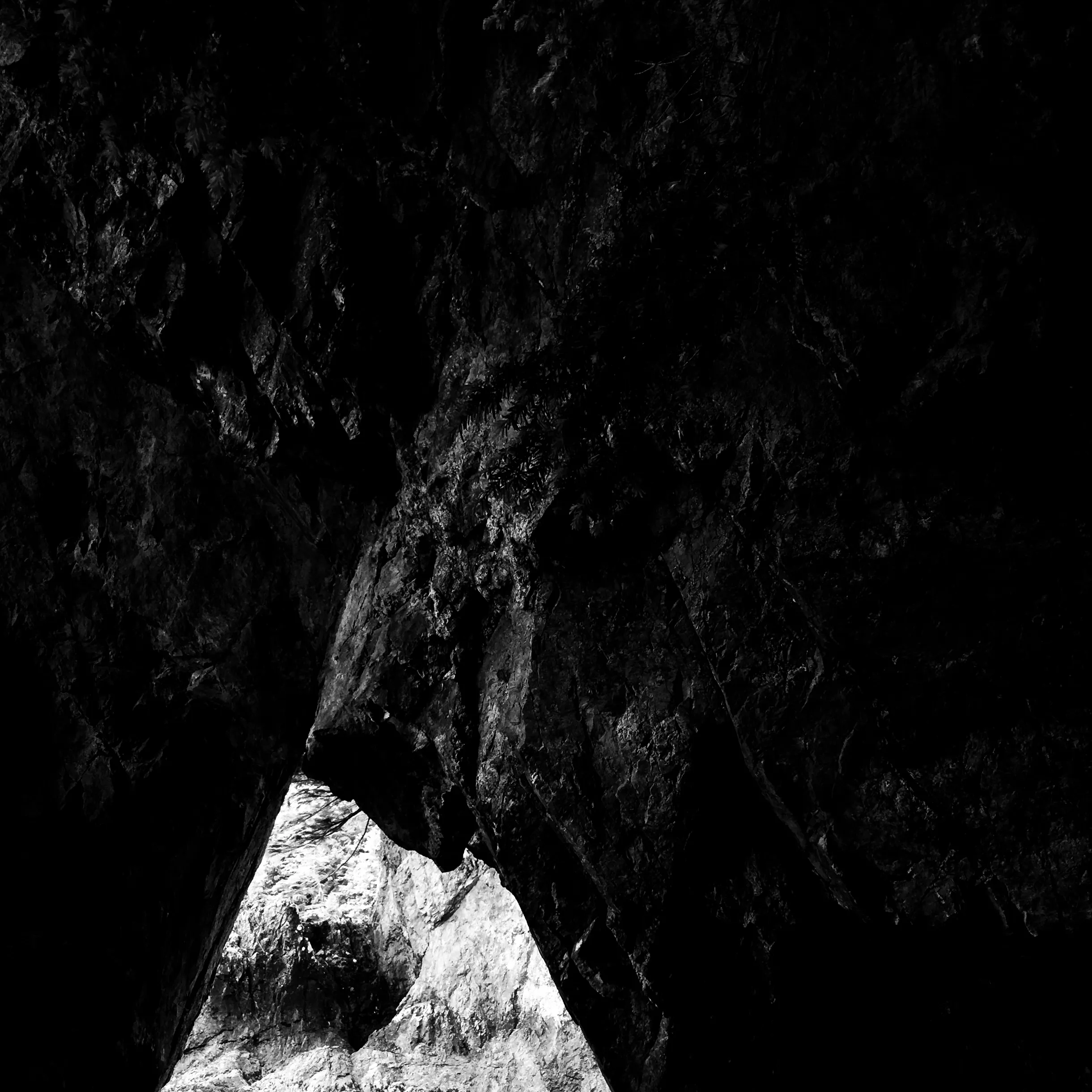 Image8 - Black & White