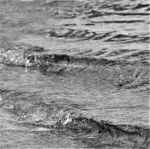 Image 83 - Black & White