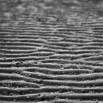Image 84 - Black & White
