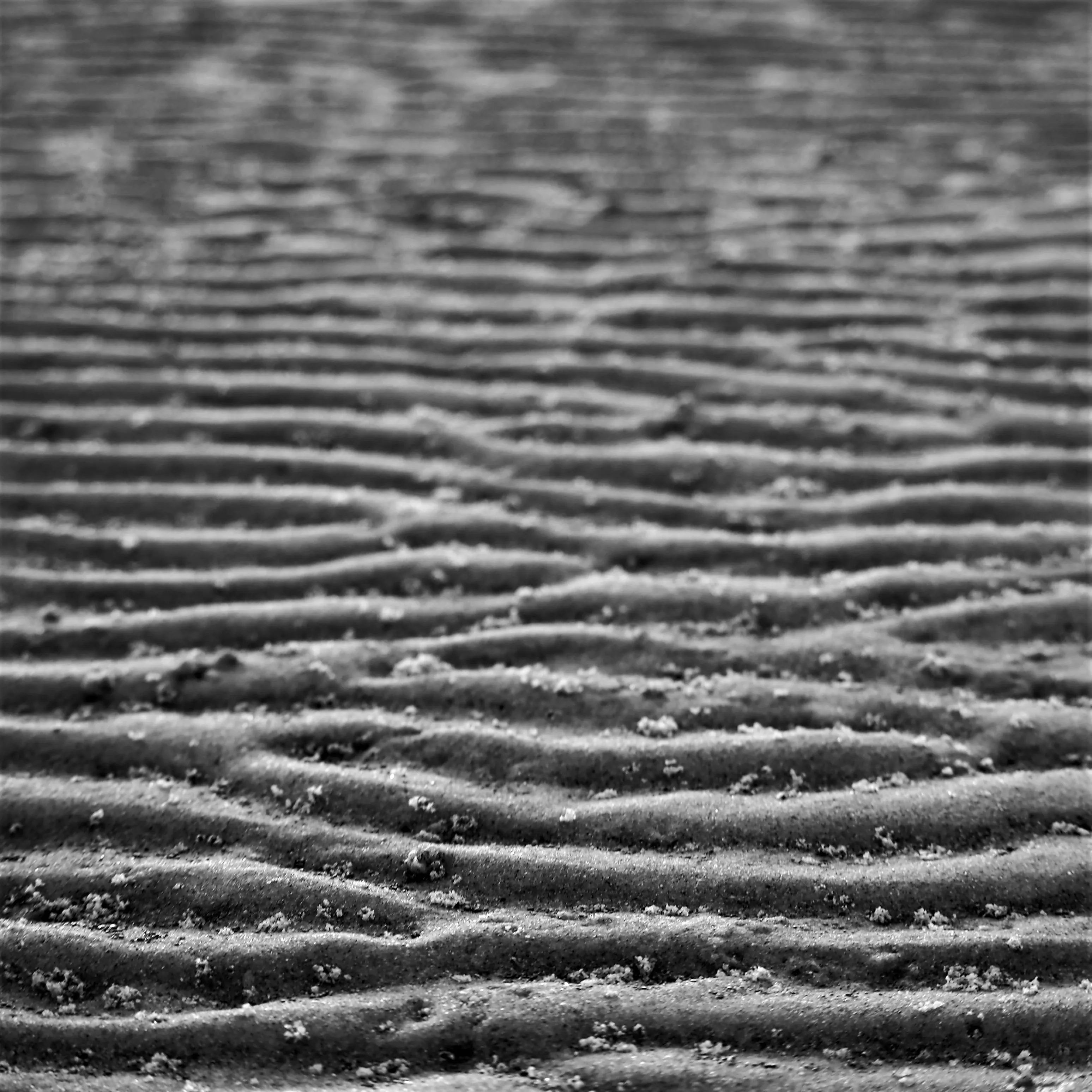 Image84 - Black & White