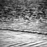 Image 86 - Black & White