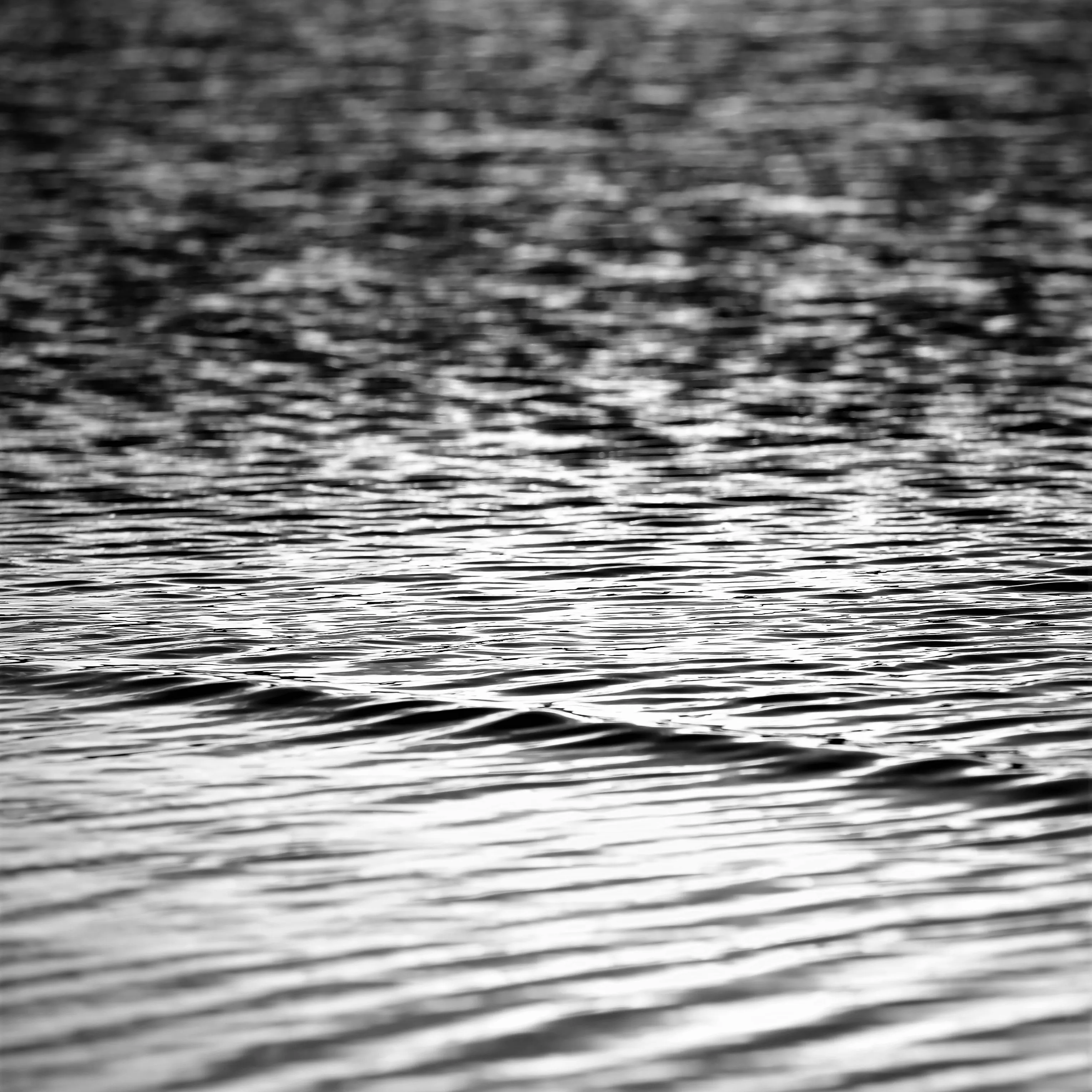 Image86 - Black & White