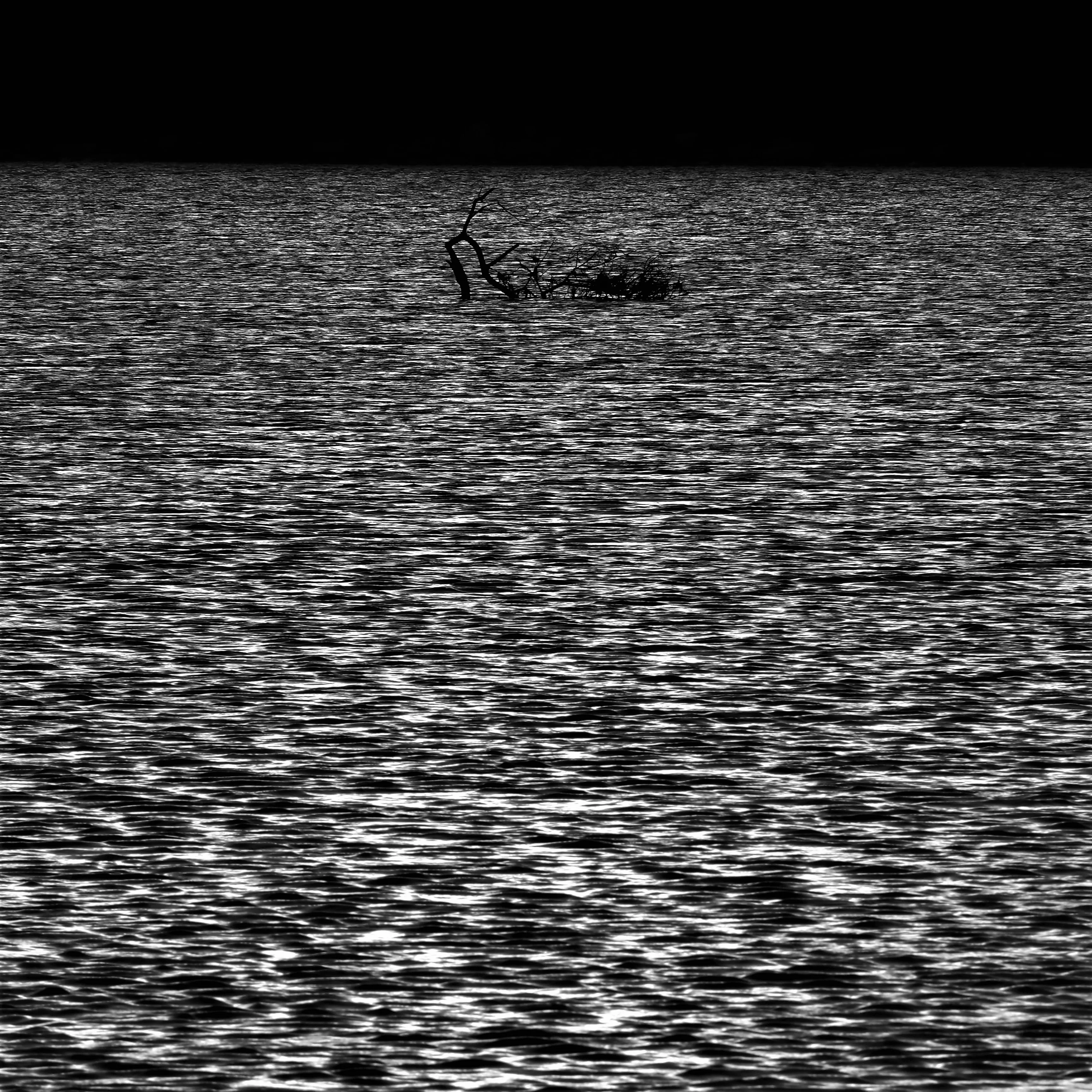 Image87 - Black & White