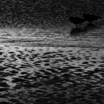 Image 89 - Black & White