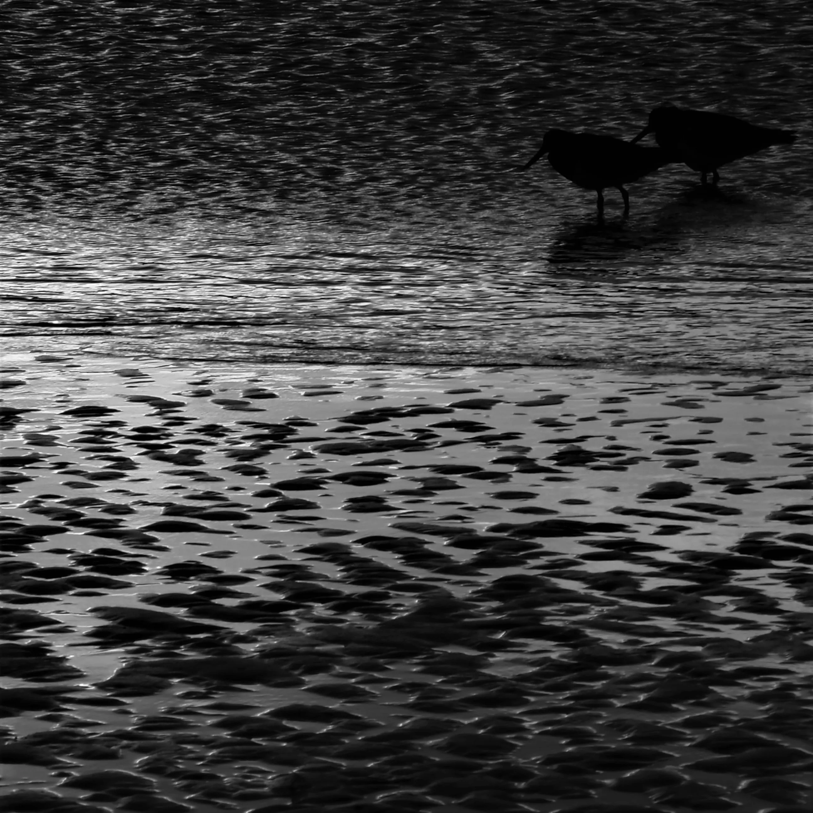 Image89 - Black & White
