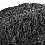 Image 91 - Black & White