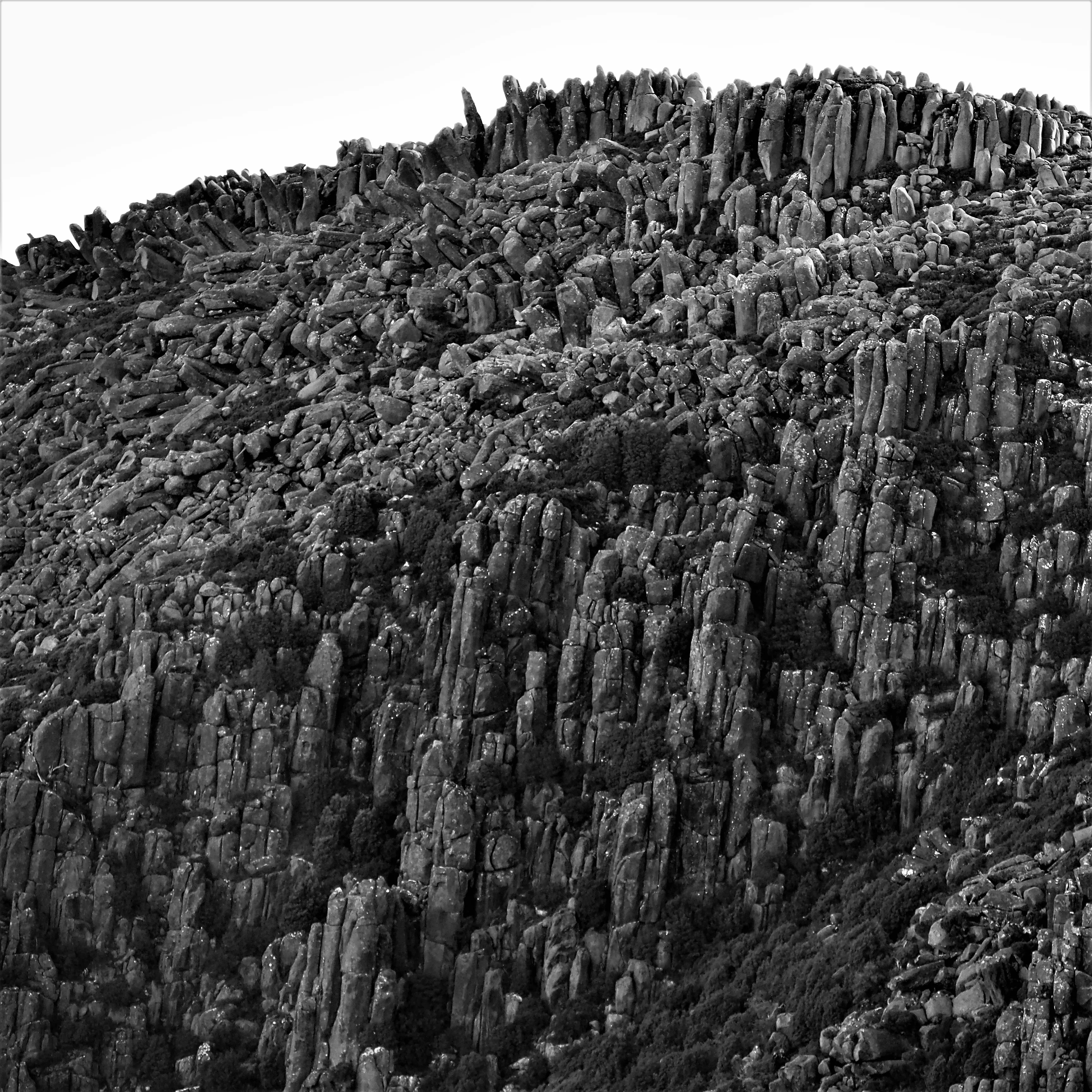 Image91 - Black & White