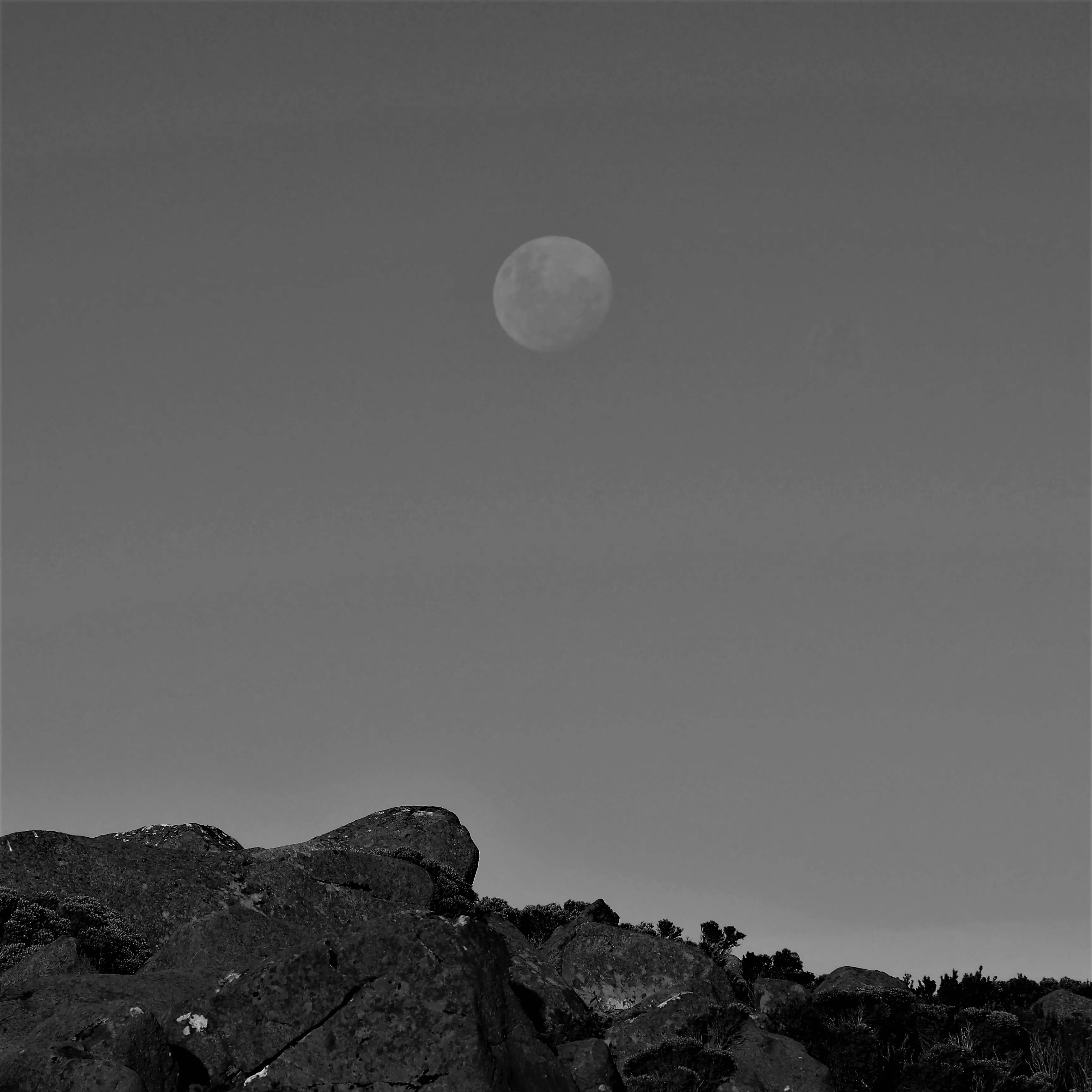 Image92 - Black & White