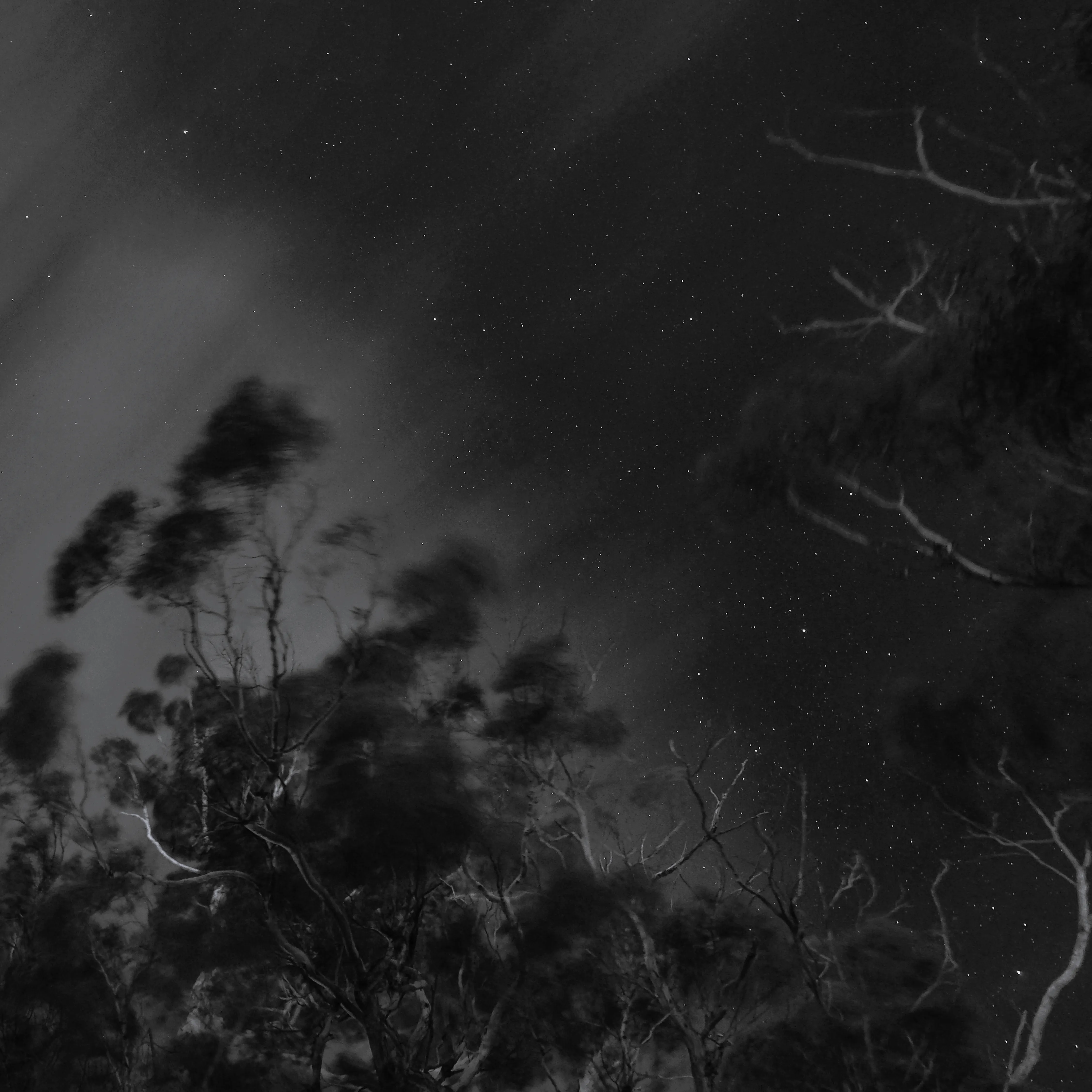 Image94 - Black & White