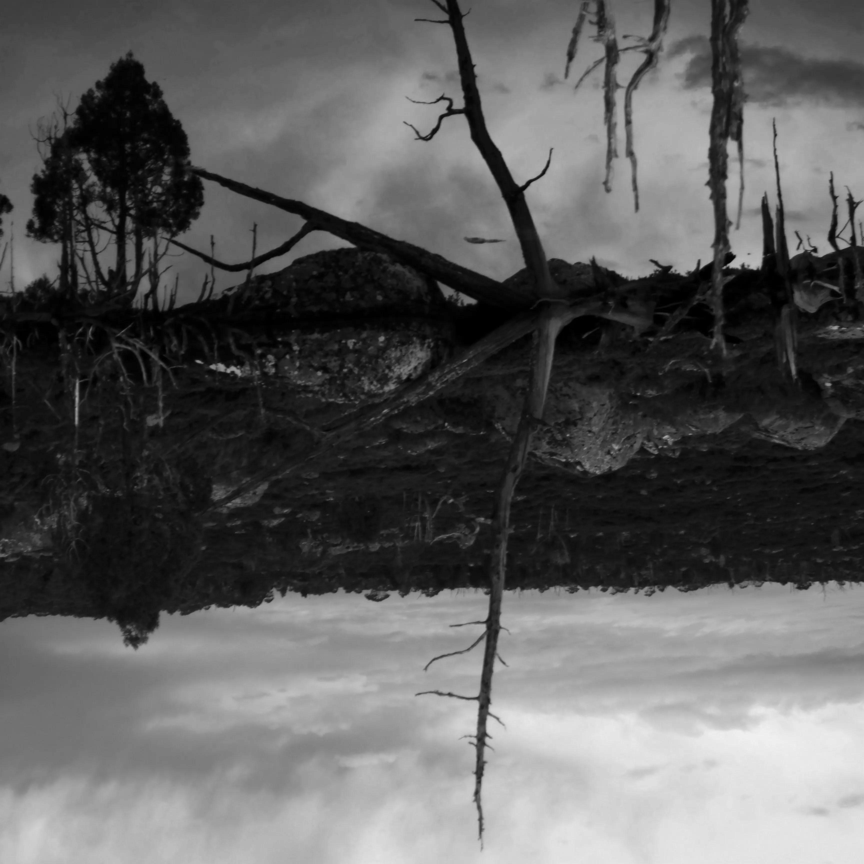 Image95 - Black & White