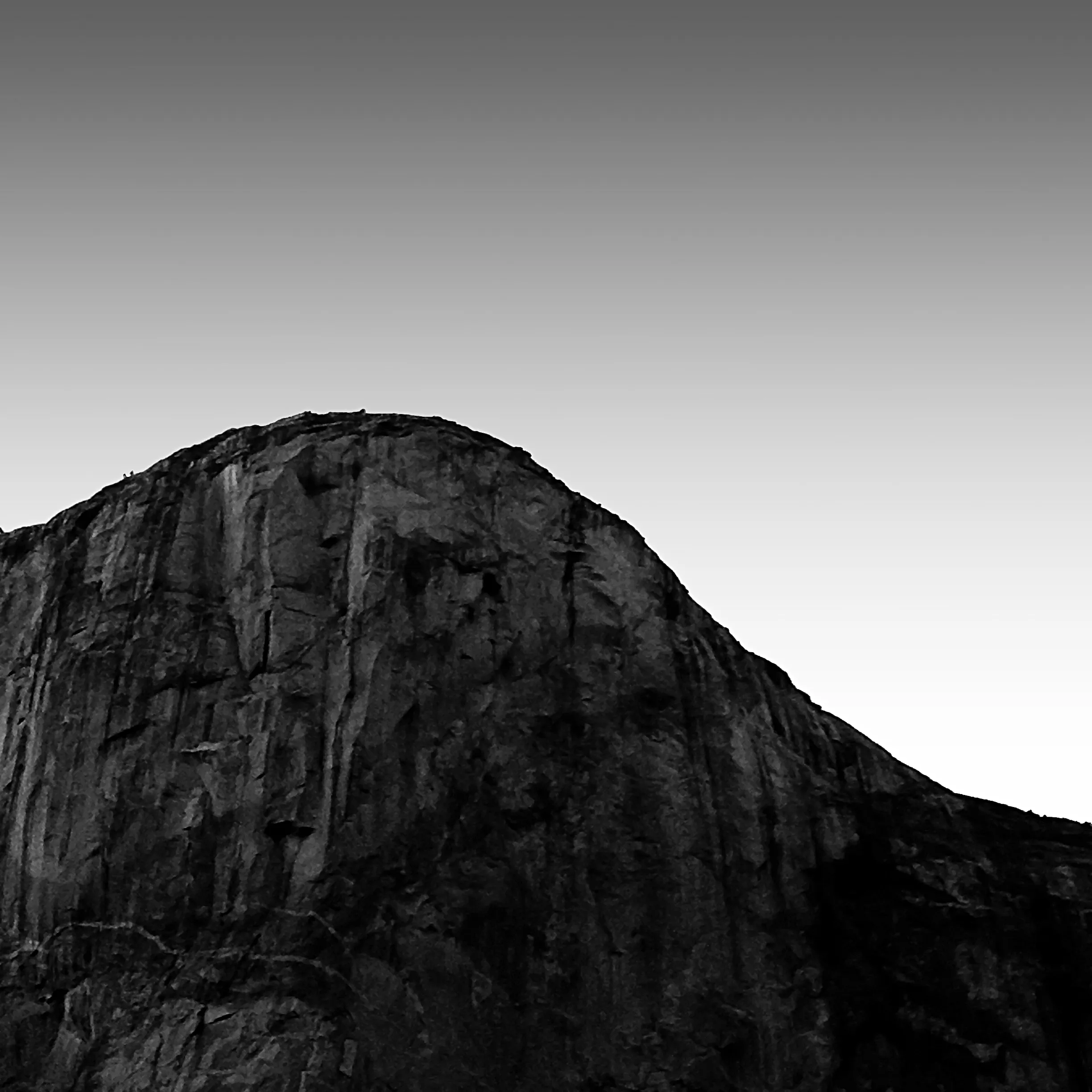 Image98 - Black & White