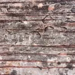 Image 11 - Beauty, Beauty Everywhere