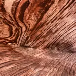 Image 21 - Beauty, Beauty Everywhere