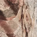 Image 23 - Beauty, Beauty Everywhere