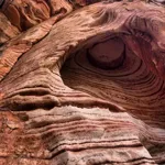 Image 3 - Beauty, Beauty Everywhere