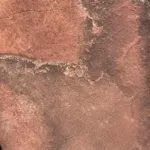 Image 6 - Beauty, Beauty Everywhere