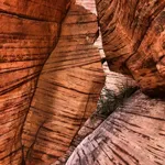 Image 7 - Beauty, Beauty Everywhere