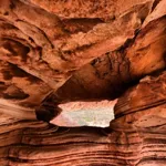 Image 8 - Beauty, Beauty Everywhere