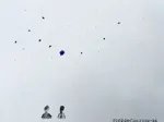 Image 17 - Blue