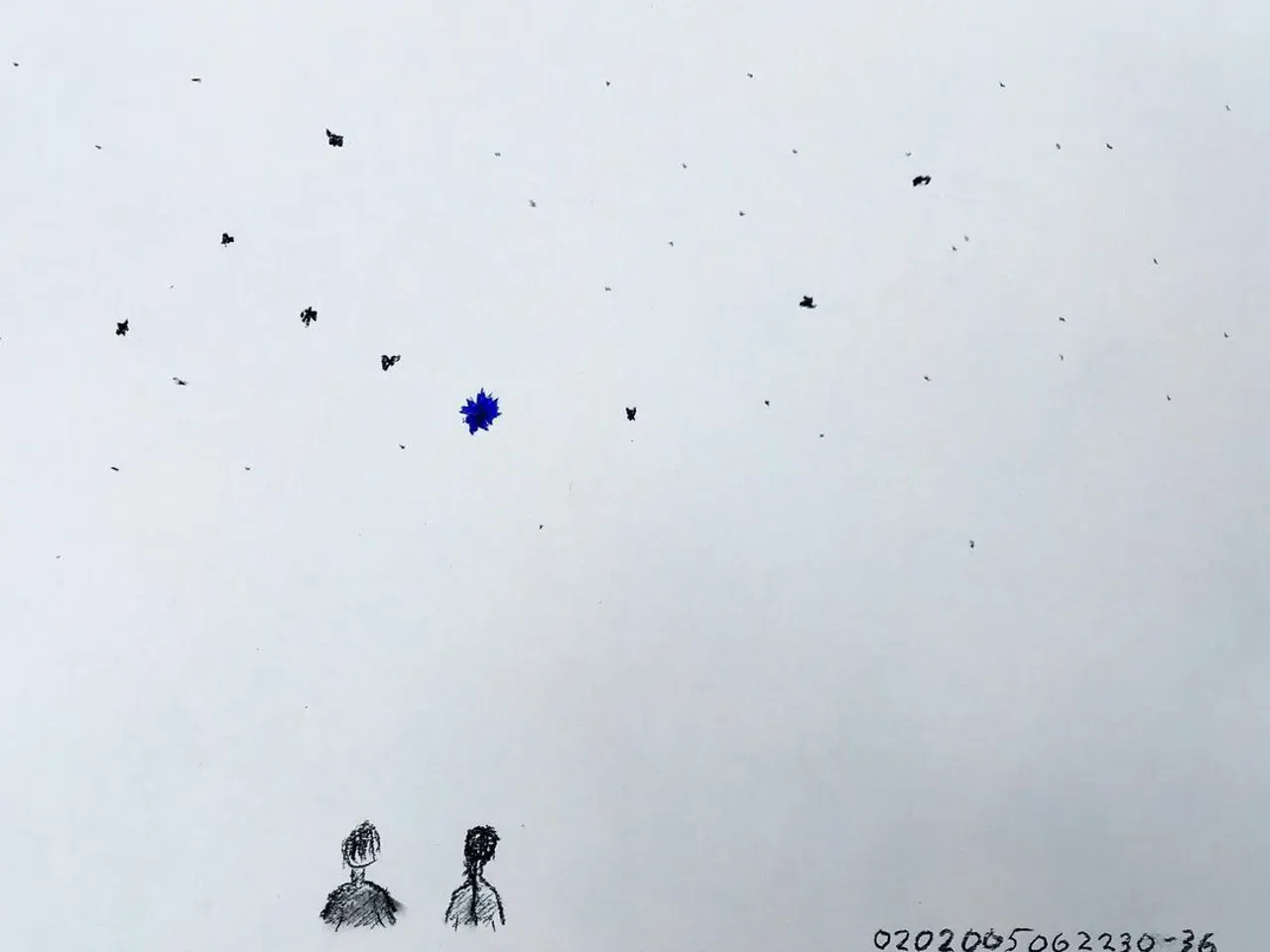 Image 17 - Blue