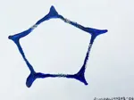 Image 39 - Blue