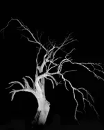 Image 0 - Dead of Night