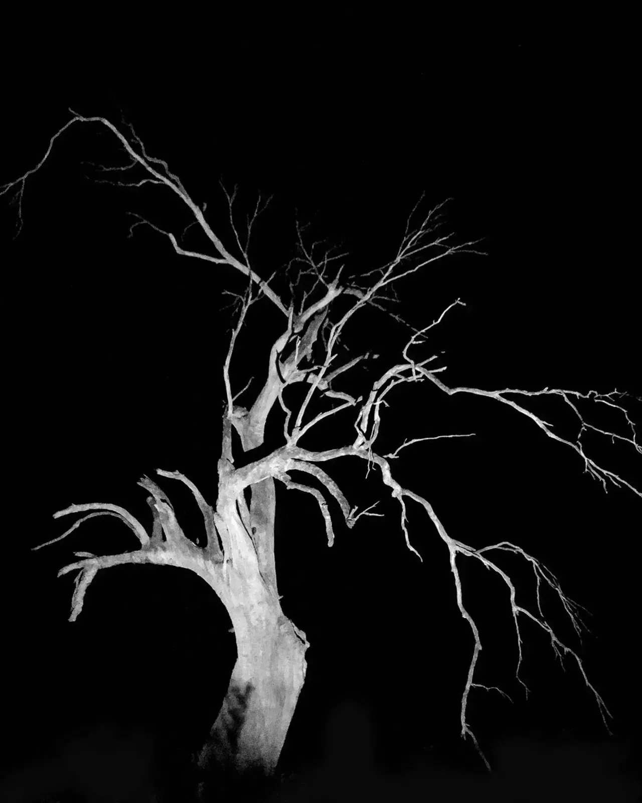 Image 0 - Dead of Night