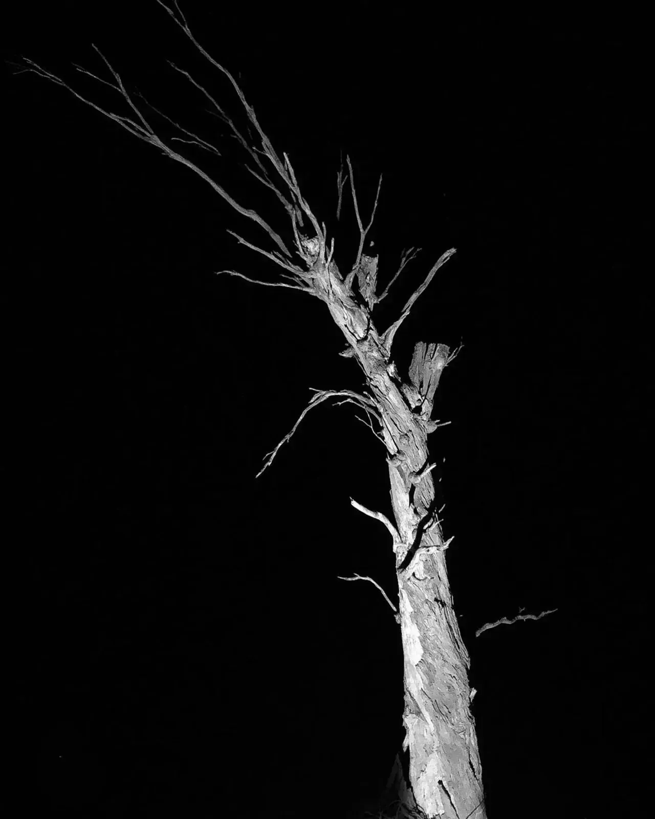 Image 1 - Dead of Night