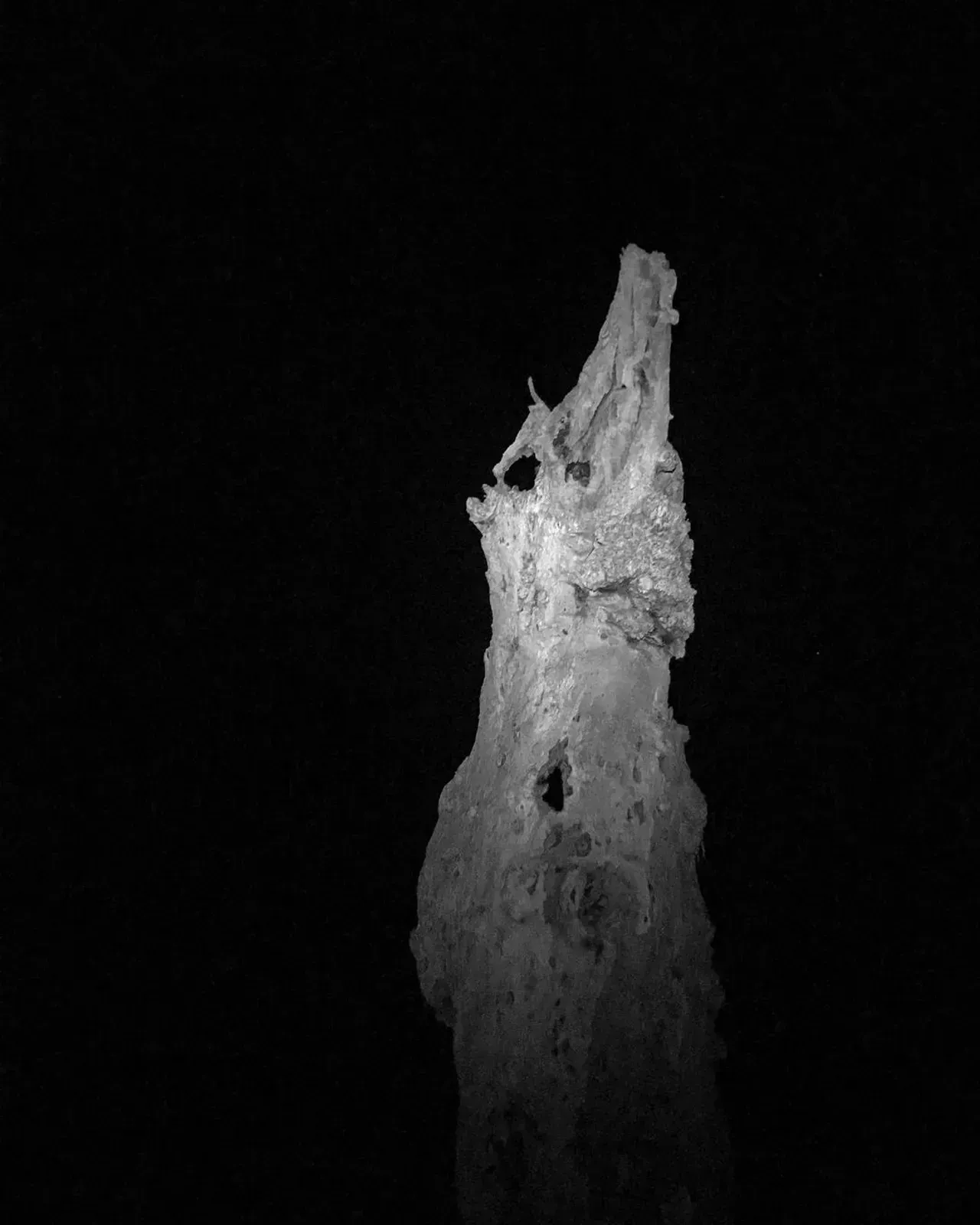 Image 12 - Dead of Night