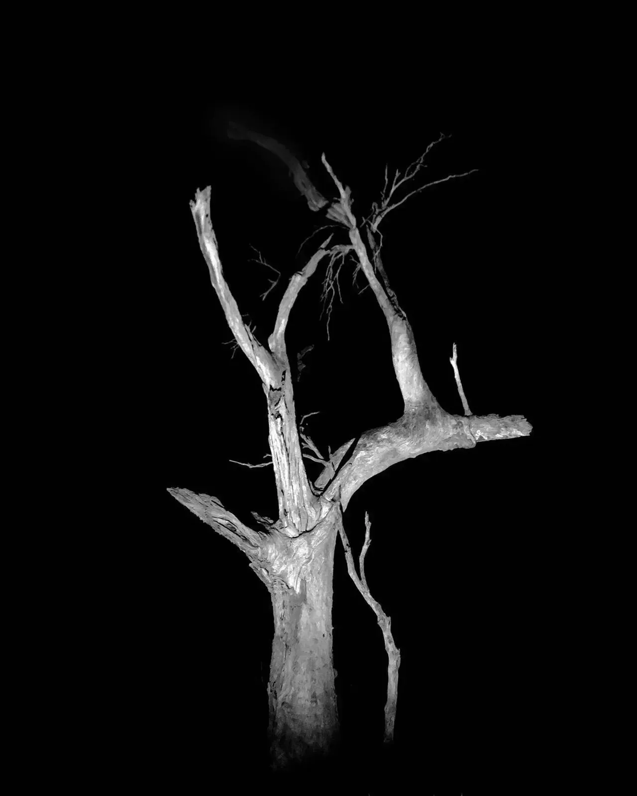 Image 13 - Dead of Night