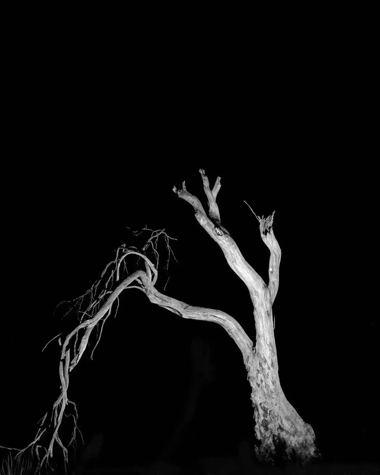 Image 14 - Dead of Night