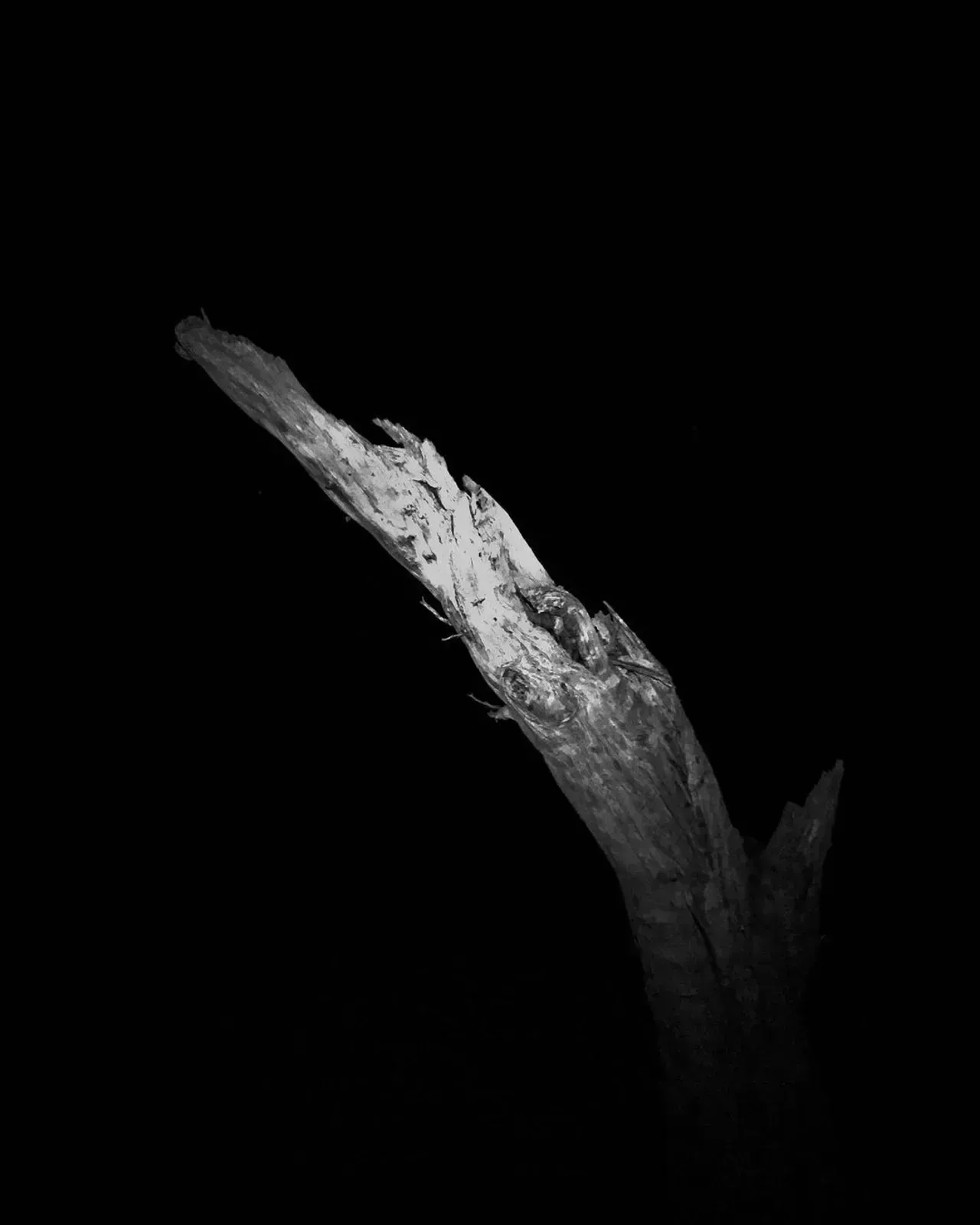 Image 15 - Dead of Night
