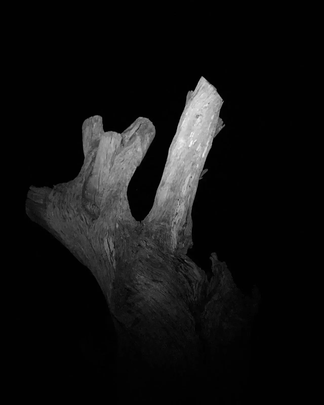 Image 16 - Dead of Night