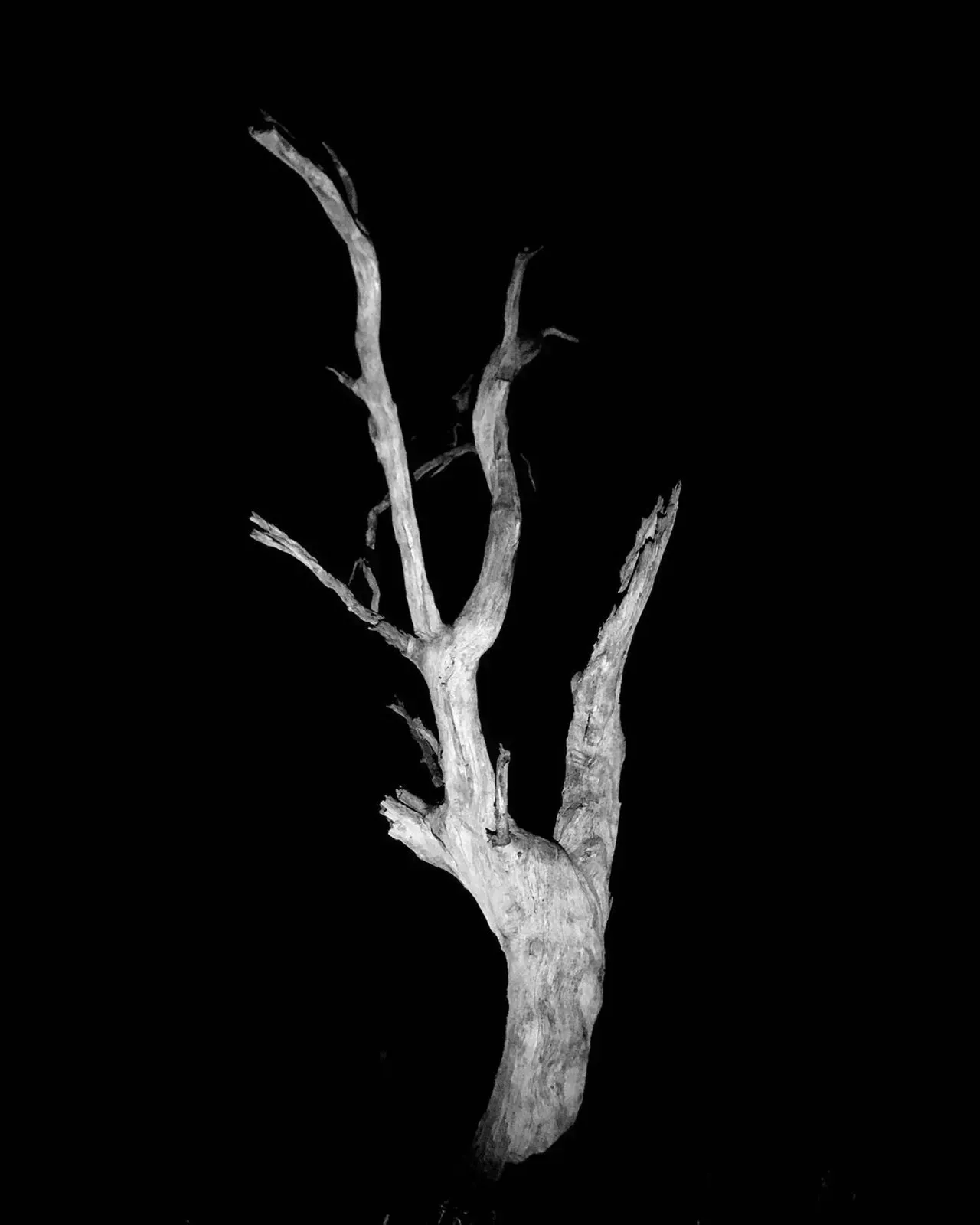 Image 17 - Dead of Night
