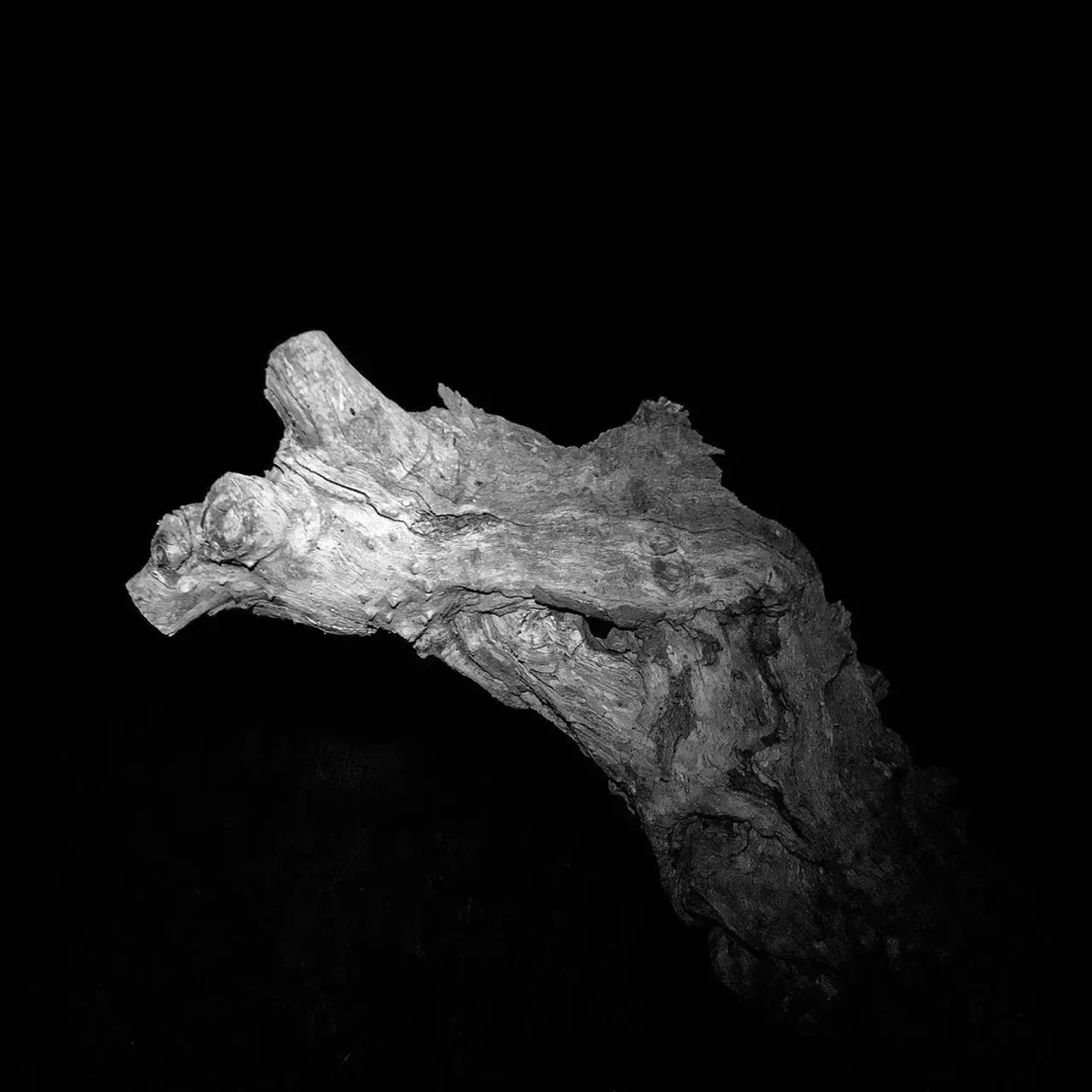 Image 18 - Dead of Night