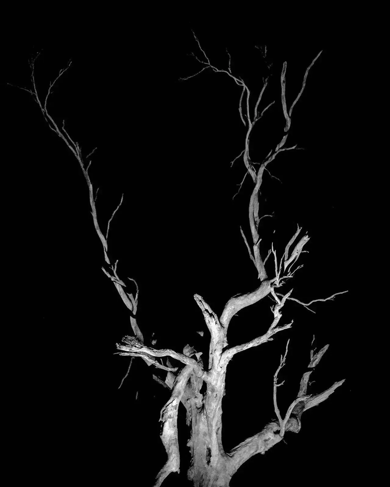 Image 19 - Dead of Night