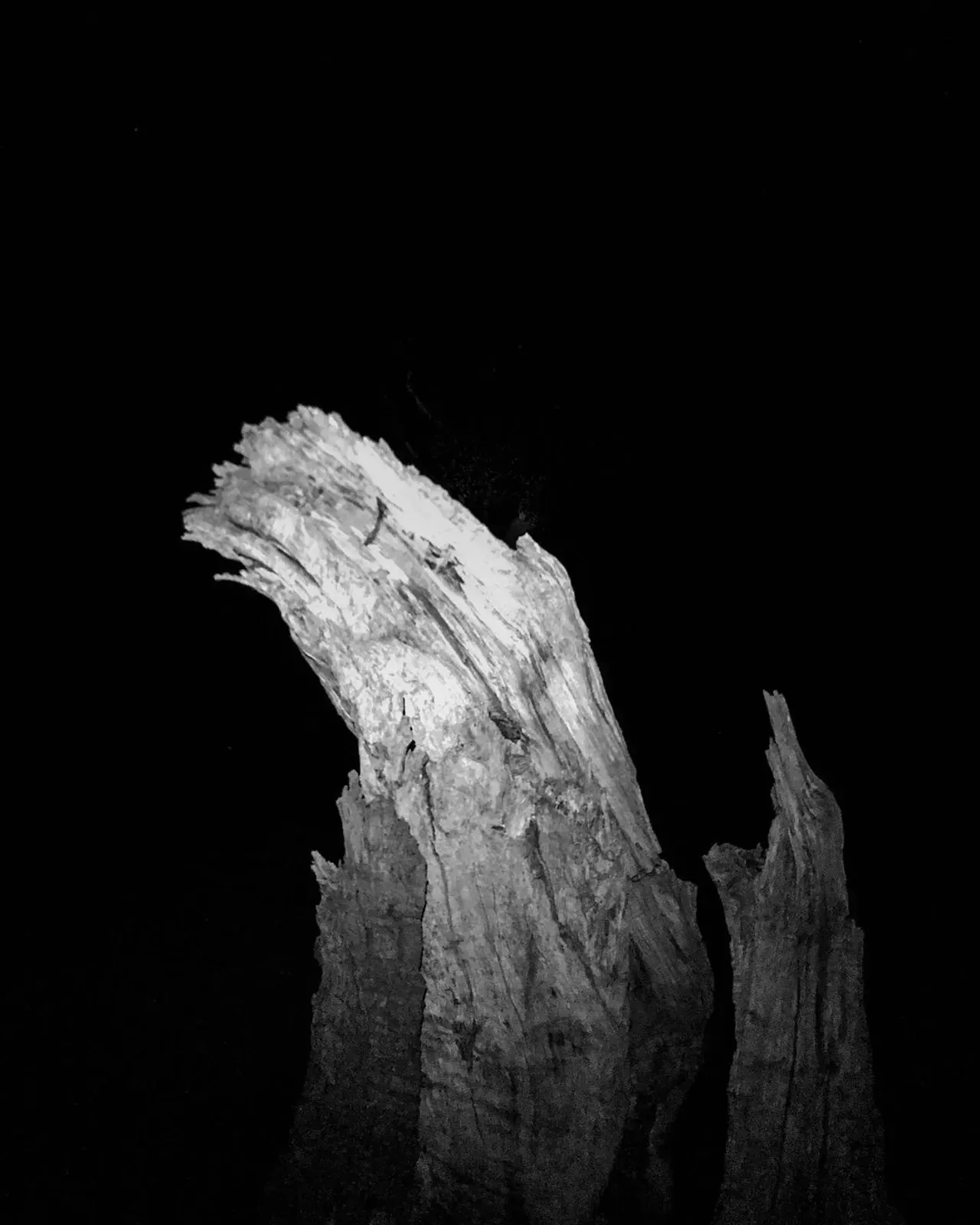 Image 2 - Dead of Night