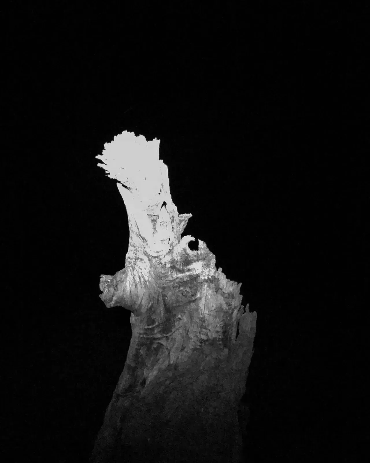 Image 20 - Dead of Night