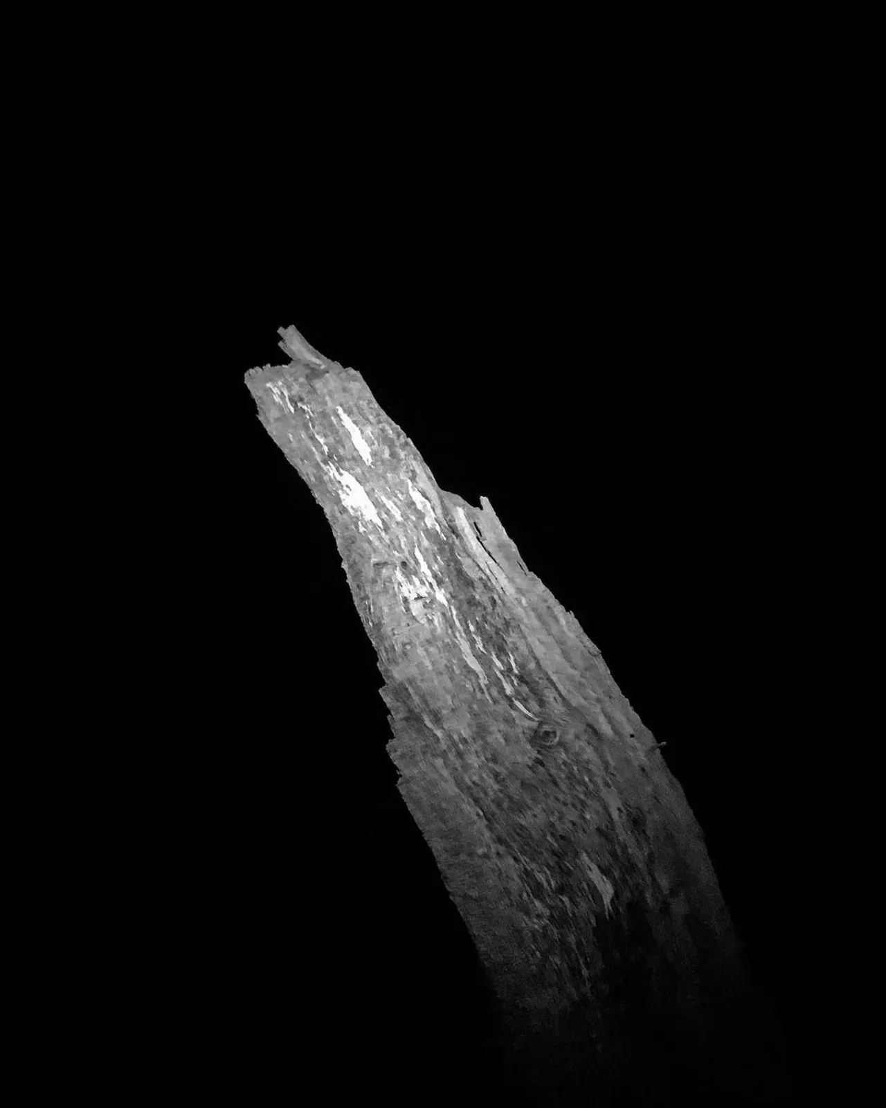 Image 21 - Dead of Night