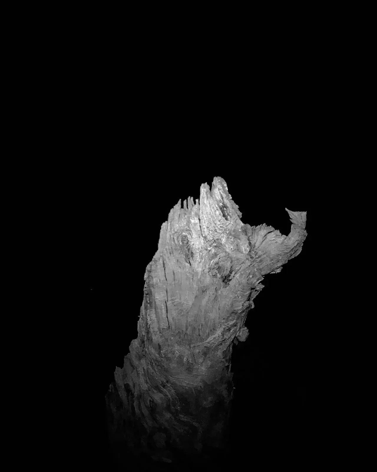 Image 22 - Dead of Night