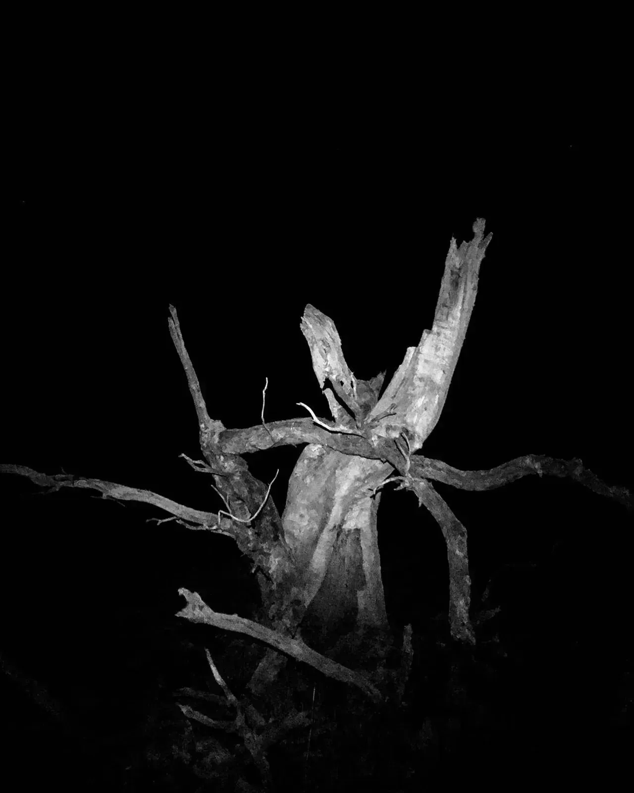 Image 23 - Dead of Night