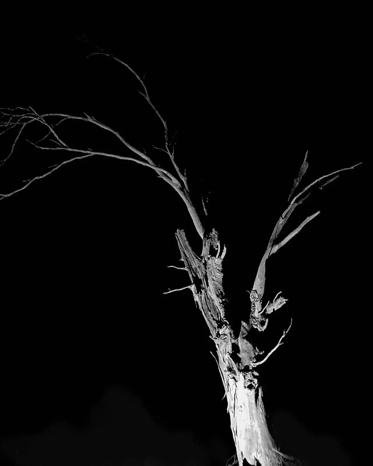 Image 25 - Dead of Night