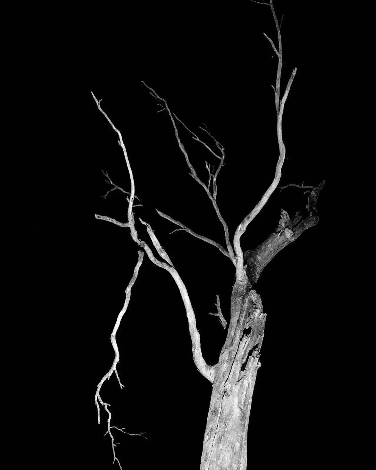 Image 28 - Dead of Night