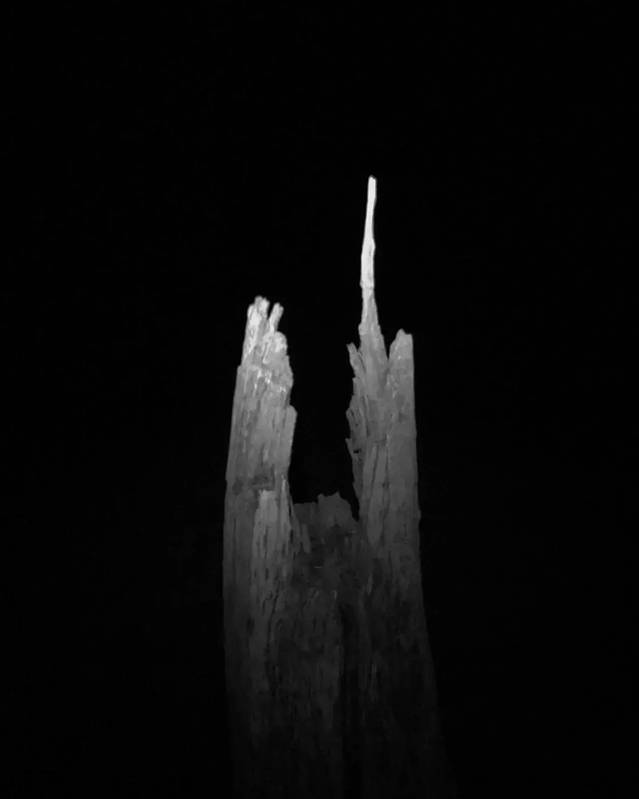 Image 3 - Dead of Night