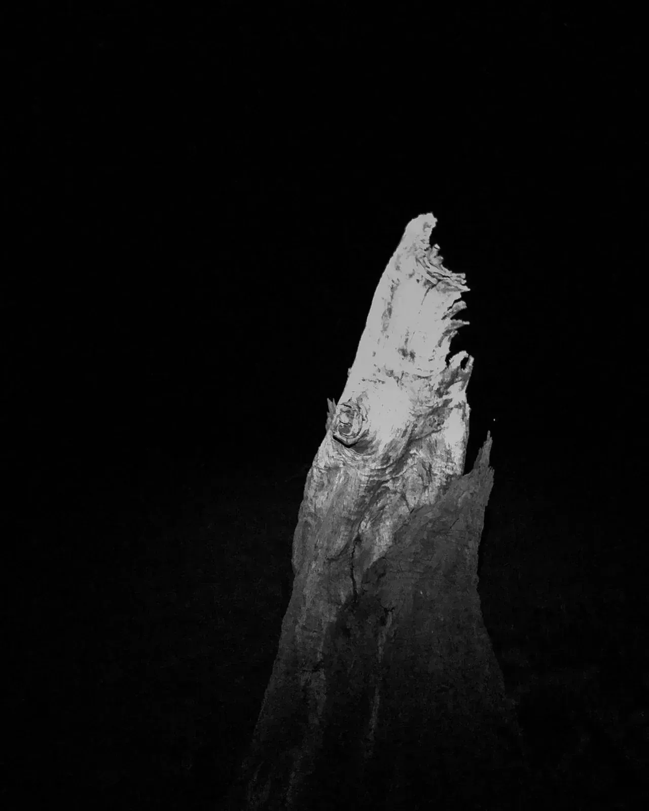 Image 30 - Dead of Night