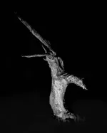Image 31 - Dead of Night