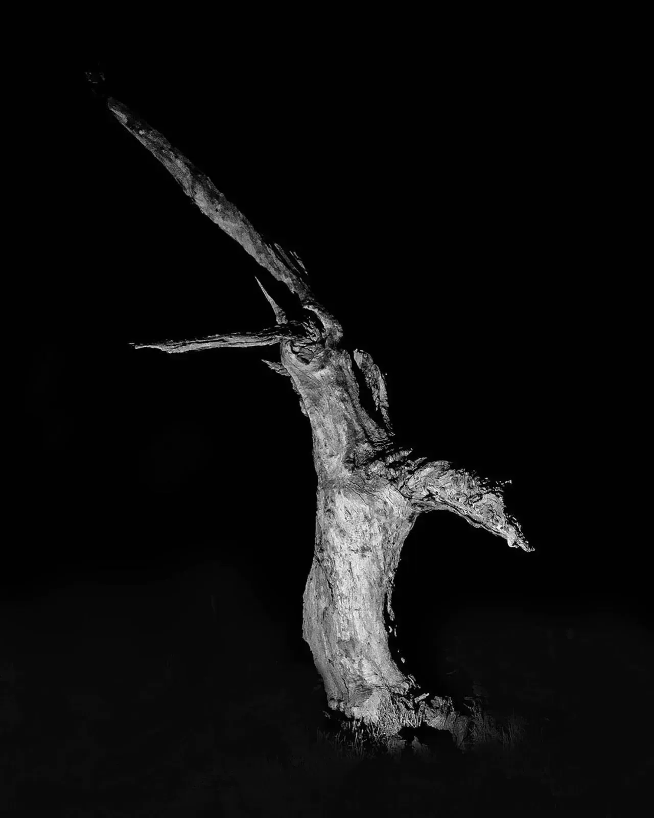 Image 31 - Dead of Night