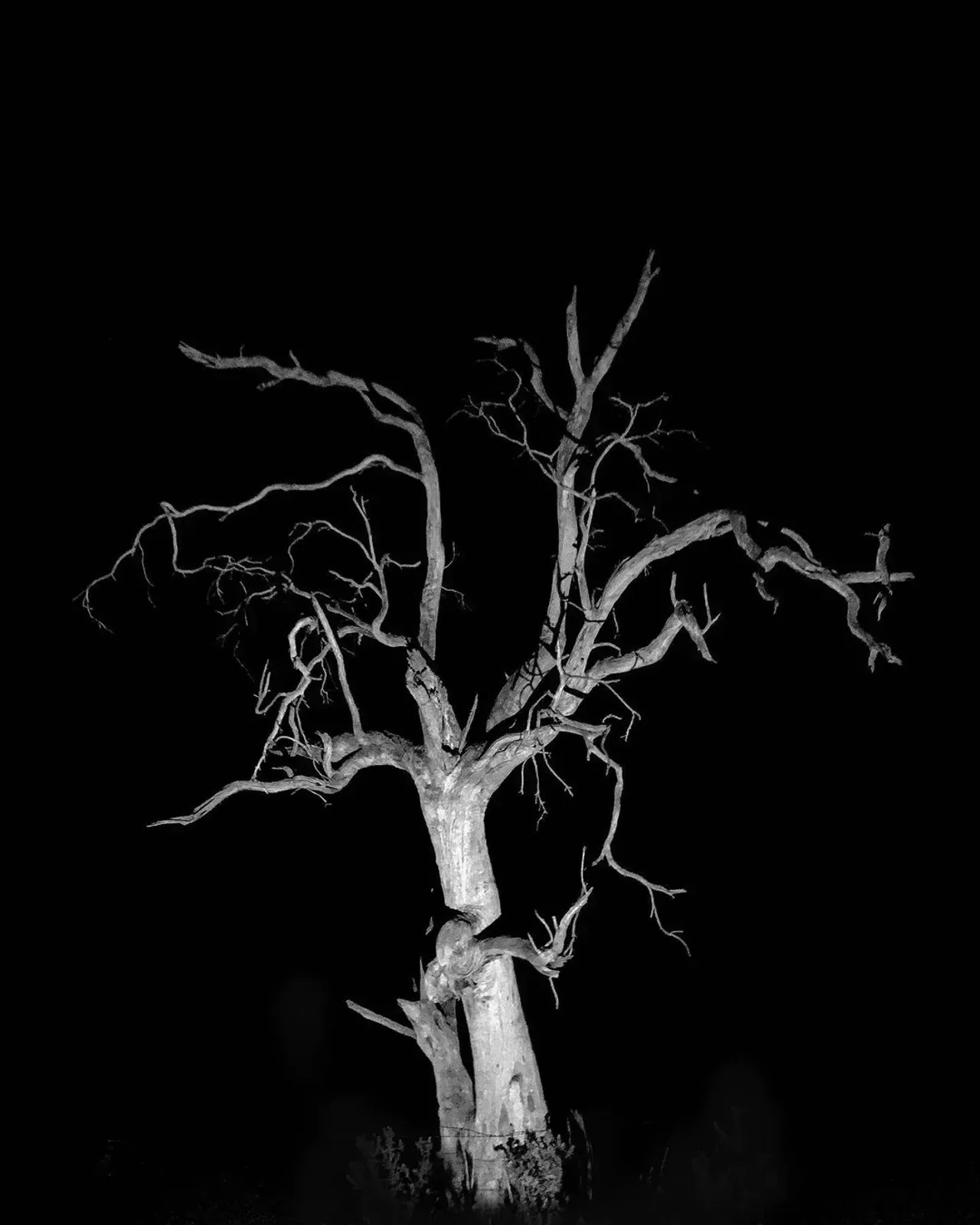 Image 32 - Dead of Night