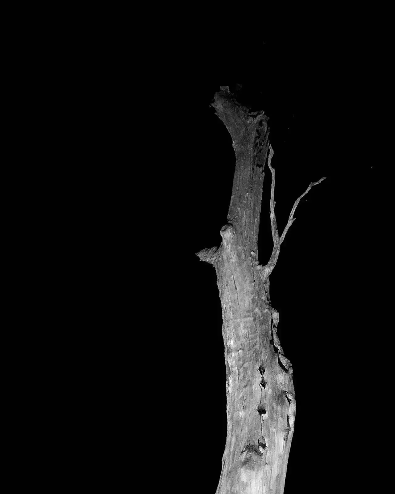 Image 33 - Dead of Night