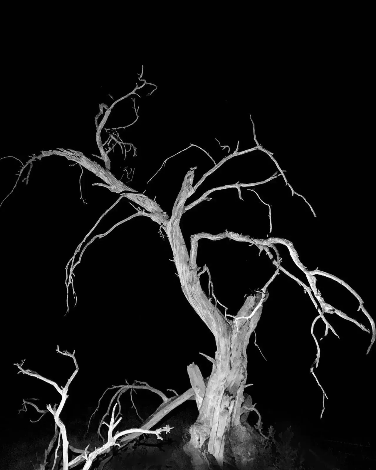 Image 34 - Dead of Night